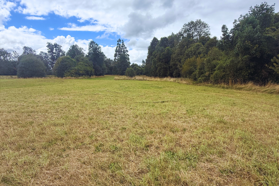 Se Vende Parcela Sector Choroico