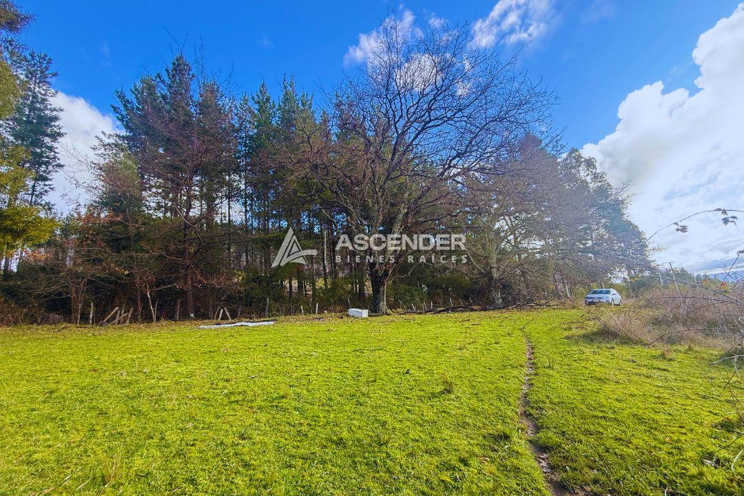 Venta de Campo en Huillinco, 4 Hectáreas