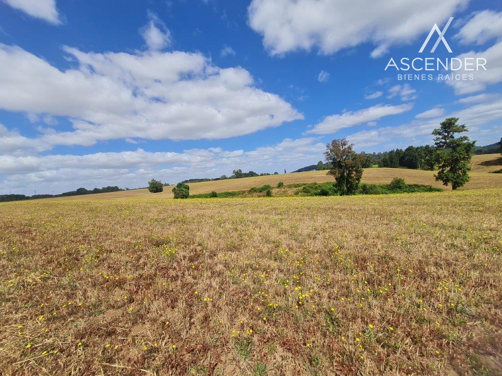 VENTA DE LOTEO DE PARCELAS EN LA UNIÓN
