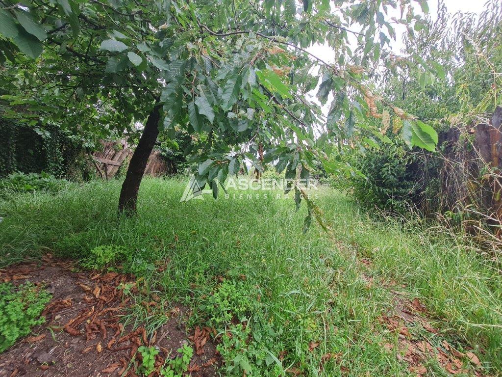 SE VENDE TERRENO EN LA UNIÓN