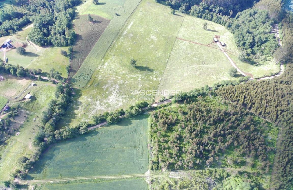 Se Vende Campo en la Union