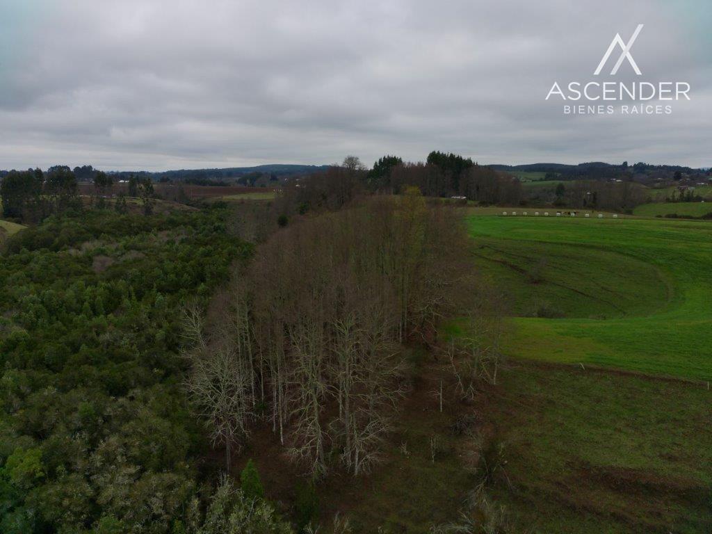 SE VENDE CAMPO CON CASA EN LA UNIÓN